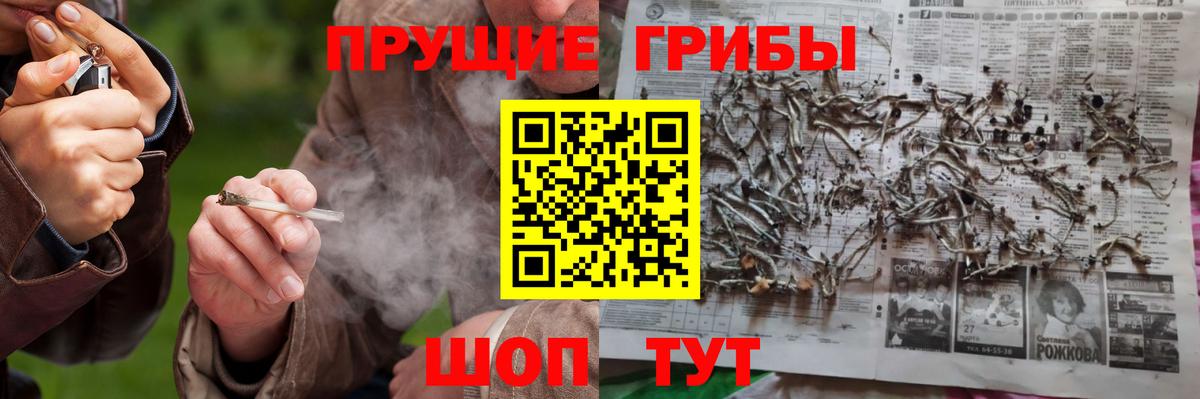 Гагарин  Псилоцибиновые грибы прущие грибы  Вход с VPN 